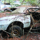 Illustration for article titled Massive Secret Mustang Junkyard Found In Rhode Island Forest